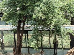 -云南野生动物园