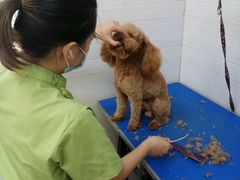 -芭比堂动物医院广州顽皮分院