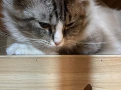 -白兔子密室(长寿路店)