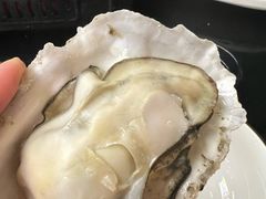 -大富蚝乌东哥饭店·石锅鱼杂·柠檬鸭(革新路店)