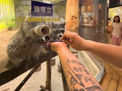 -大连圣亚海洋世界