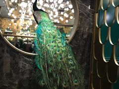 -雀蓝川菜(奥体广场店)