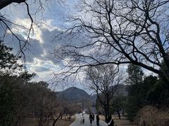-国家植物园