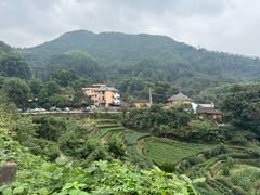 -杨家堂村
