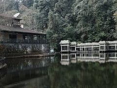 -云南屏边大围山国家公园