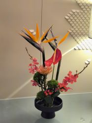 -圣贝拉母婴护理中心(深圳莱佛士店)