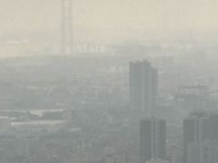 -虎门美思威尔顿酒店(海之光自助餐)