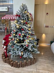 -广州安和泰医学月子会所