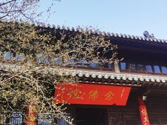 -灵谷景区