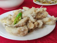 -蛇口康乐快餐鱼仔档(翠苑小区店)