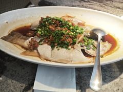 -新白鹿餐厅(松江开元地中海店)