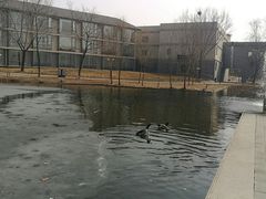 -东方苑自助餐厅(稻香湖景酒店)