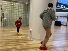 -金茂览秀城