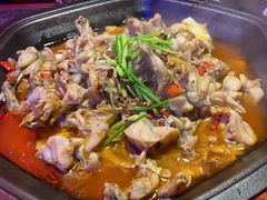 -蛙来哒(诚丰广场店)