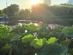 -西海子公园