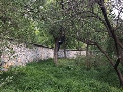 -红楼梦邮局