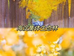 -北坞公园