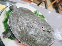 童子甲鱼-金龙·打边炉(武进路店)