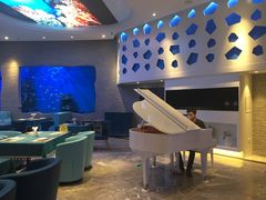 -瑞德姆美人鱼海底演艺主题餐厅(亚龙湾店)