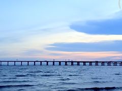 -宝安西湾红树林湿地公园