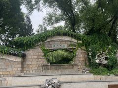 -团结湖公园