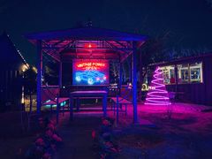 -枫花园汽车电影院(朝阳公园店)