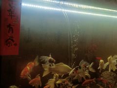-逸栈养生SPA(望京店)