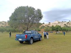 -塞罕坝国家级自然保护区