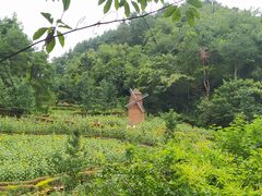 -阿哈湖国家湿地公园