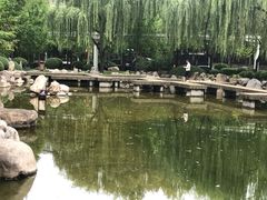 -唐城墙遗址公园