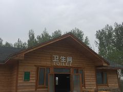-东郊湿地公园