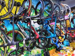 -GIANT捷安特自行车专卖店(金桥台儿庄路店)