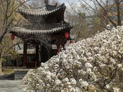 -碑林公园