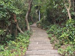 -梧桐山风景名胜区