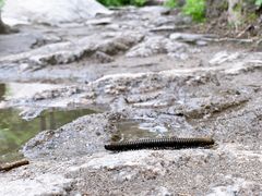 -碓臼峪自然风景区