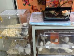 -三旗百汇商品城