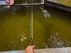 -粮心小农·大头虾亲子生态园(长发店)