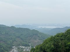 -龙井村