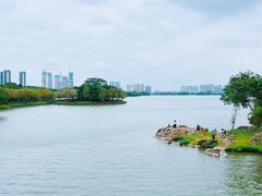 -顺峰山公园