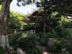 -西湖游船