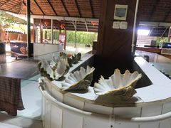-海盗餐厅
