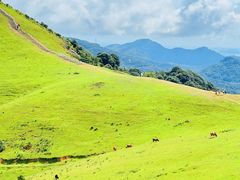 -大姆山草场