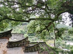 -杨家堂村