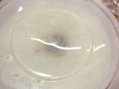 -九斤黄三黄鸡专卖店