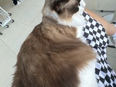 -怪兽屋·羊驼·猫咖·狗咖(俊华广场店)