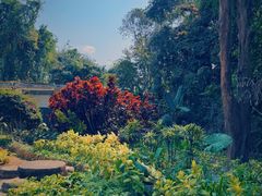 -中国科学院西双版纳热带植物园