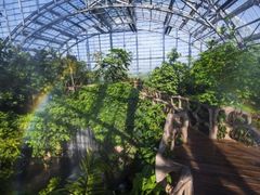 -南山植物园