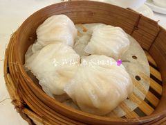 -美心皇宫(屯门大会堂店)