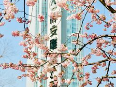 -静安雕塑公园