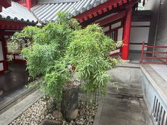 -大慈恩寺(大雁塔)